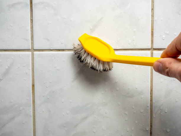 Best Local Mold Removal Service  in Three Points, AZ